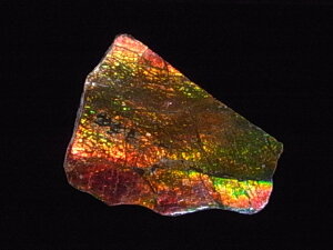 yzACg jЁE(jH Ji_ Ao[^B XubWY AiCg  A ΃ACg s yh鑾Â̔z ɂĂ 