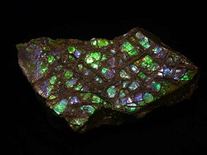 yzACg jЁE(jH Ji_ Ao[^B XubWY AiCg  A ΃ACg s yh鑾Â̔z ɂĂ 