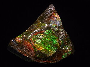 yzACg jЁE(jH Ji_ Ao[^B XubWY AiCg  A ΃ACg s yh鑾Â̔z ɂĂ 