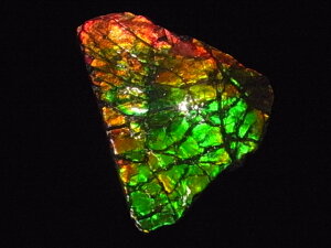 yzACg jЁE(jH Ji_ Ao[^B XubWY AiCg  A ΃ACg s yh鑾Â̔z ɂĂ 