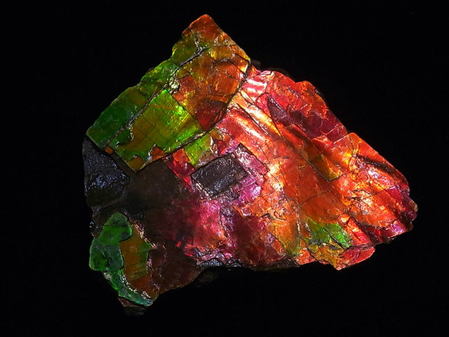 アンモライト 破片・欠片(かけら）稀少な カナダ アルバータ州 レスブリッジ産 アンモナイト 実物 レア 化石アンモライト研究所 発行 にも解説されている  自然が生んだ 美しき色：アンモライト研究所
