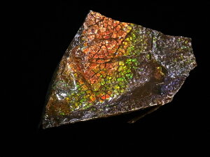 yzACg jЁE(jH Ji_ Ao[^B XubWY AiCg  A ΃ACg s yh鑾Â̔z ɂĂ 