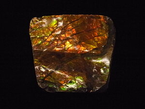 yzACg jЁE(jH Ji_ Ao[^B XubWY AiCg  A ΃ACg s yh鑾Â̔z ɂĂ 