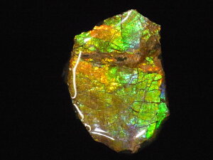 yzACg jЁE(jH Ji_ Ao[^B XubWY AiCg  A ΃ACg s yh鑾Â̔z ɂĂ 