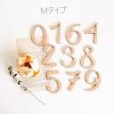 ●数字単品●木製〈毎日・毎月・毎年使える〉マンスリーカード ...