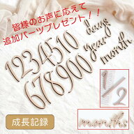 お値段そのまま追加パーツプレゼント！木製〈毎日 毎月 毎年使える〉マンスリー カード ニューボーンフォ…