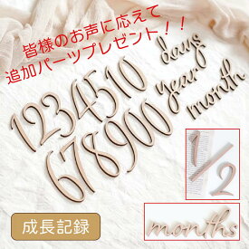 お値段そのまま追加パーツプレゼント！木製〈毎日 毎月 毎年使える〉マンスリー カード ニューボーンフォト セット マンスリー 月齢 フォト 木製バナー レターバナー ベビー マタニティフォト 寝相アート 赤ちゃん インスタ 撮影 ガーランド お誕生日 飾り 記念 写真 [A]