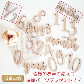 お値段そのまま追加パーツプレゼント！木製〈毎日・毎月・毎年使える〉 マンスリー カード お昼寝 アート 月齢 フォト レターバナー ニューボーンフォト セルフ マタニティ ニューボーン 寝相アート ハーフバースデー 赤ちゃん 撮影 数字 ベビーフォト 飾り 記念 写真 [Q]