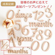 お値段そのまま追加パーツプレゼント！木製 〈毎日・毎月・毎年使える〉 マンスリー カード 月齢 フォト …