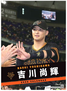 y݁zy񏤕iz 2026NJ_[g쏮PiǔWCAcj26CL-0569[11/1]