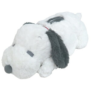 ʂ݃eBbVJo[ Xk[s[OЁyiEʁjz