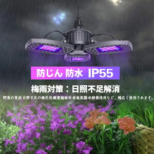 y}\ԃN[|LzyvŁzPSEF A琬Cg led 600W LED ACg h 3wbhōLƎ˔͈ k͔|Cg led Cg A琬Cg ϗtA琬Cg 