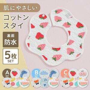 360xX^C X^C 360 xr[X^C 悾ꂩ 360x HX^C 5Zbg K[[ Rbg h oYj Mtg xr[Gv 킢 HGv ] Xibv{^ q Ԃ