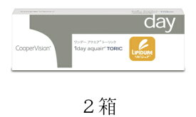 【送料無料】ワンデー アクエアトーリック2箱セット（1箱30枚入り）両眼約1ケ月分