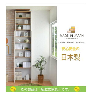 {I ǖʎ[ ϐk nk΍ Lk ؐ ς莮 R~bNbN 60 G{ G { V g