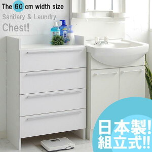 `FXg 4i ʏ [ ؐ Tj^[ h[ 60cm   o  V g { V g