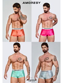 AMORESY アモレシー 公式 ボクサーショーツ 無地 年中 UV防止 極薄 シアーSlixtex Superfine 男性下着 Pegasus ペガサスシリーズ