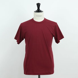 ＼P3倍 24日20時～／【新品】 コムデギャルソン COMME DES GARCONS FJ T016 W22 WHITE Tシャツ 4／BURGUNDY メンズ