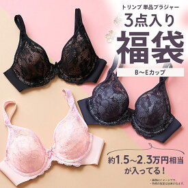 クーポン対象★アウトレット★[トリンプ]WEB限定 ブラジャー単品3点入り福袋【B,C,D,E,Fカップ】 レディース 2023 2024 下着 インナー 3点セット