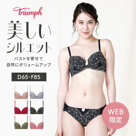 クーポン対象 WEB限定[トリンプ]すっきりスムースブラ ブラ＆ショーツセット【D,E,Fカップ】 WHU + Hikini 39 Y3 A1 RL1 大きいサイズ ラージサイズ