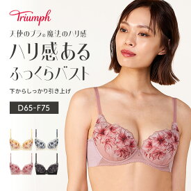 ★セール再値下げ35％OFF★[トリンプ]天使のブラ(R) 魔法のハリ感586 ブラジャー【D,E,Fカップ】 TR586 WHU 大きいサイズ ラージサイズ 下着 レース 谷間 美胸 寄せ 上げ