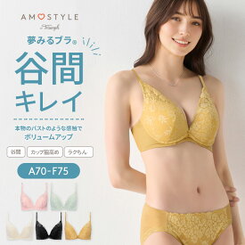 ★期間限定セールMAX21％OFF★[アモスタイル]夢みるブラ DeepV ブラ＆ショーツセット スウィンギングブーケ【A,B,C,D,E,Fカップ】 AMST1440 WHU1 + Hikini1 JX 谷間 美胸 大きいサイズ ラージサイズ
