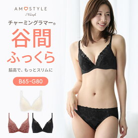 [アモスタイル]チャーミングラマー スリムライン DeepV ブラ＆ショーツセット スウィンギングブーケ【B,C,D,E,F,Gカップ】 AMST1440 WHU4 + Hikini1 JX