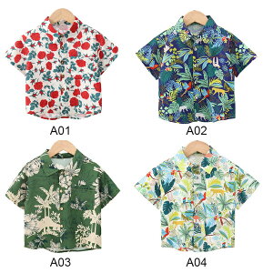 q Vc  J݃Vc JWA  xr[Vc LbY j̎q AnVc  Aj} ԕ t qǂgbvX r[` s ĕ \  V Ղ 90 100 11