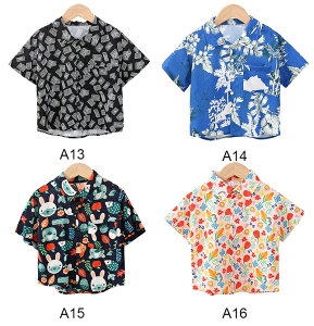 q Vc  J݃Vc JWA  xr[Vc LbY j̎q AnVc  Aj} ԕ t qǂgbvX r[` s ĕ \  V Ղ 90 100 11