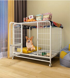 ybgP[W B  P[W ybgT[N hbOP[W ybgtFX ^ ^ ^p ybgpi LX^[t