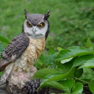 ӂ낤 u N ֐  悯 悯 ΍ IuWF  K[fjO hhb΍ h 悯ObY I[ig  fB