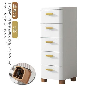 `FXg [P[X ^X 39 5i rO`FXg X q ߑP[X [{bNX o l炵 ʏ Ԏ[ 