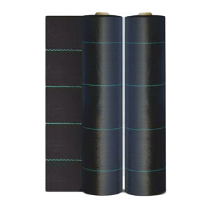 ԏ |p hV[g  Gh~V[g  _pV[g V[g lH Ő  hV[g 2m×100m 悯 Gh~ G