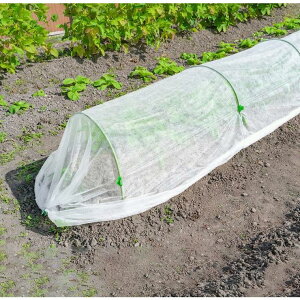 ƒ؉ K[fjO ؍͔| Aی Jo[ sDzV[g |plbg όܔz h  hJo[ 1.6×10m