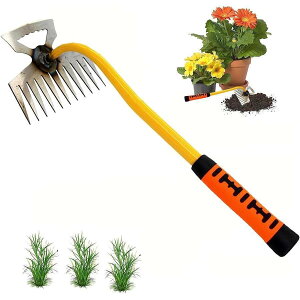  A[eBt@Ngc[ ^v[[؉L XeX L 蓮  H K[f