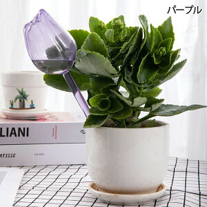 󐅑u  100ml ^  yɑ} A 4 A̐܂ NA  ̌`  A 葕u PVC A A ϗtA } | K[fjOpi 