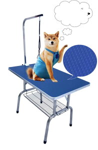 g~Oe[u g~O TCY96cm×56cm 80cm ω׏d200kg ^ ^ ^ L ܏@\ ÓdCh~ ee[u