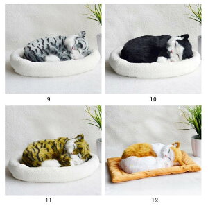 ċzĖ郊AȔL̂ʂ ˂ ʂ A {  ybg ₷▰ ㉺  ybgX xb