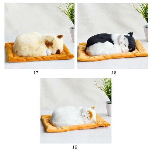 ċzĖ郊AȔL̂ʂ ˂ ʂ A {  ybg ₷▰ ㉺  ybgX xb