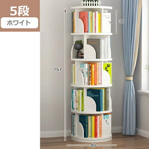 {I ]{I e a40CM A4p[\ R~bNG{bN ^[bN Ԏ[ G{bN }ٖ{I [bN ȃXy[X CD/DVDbN (zCgA2A3A4A5i)