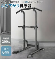 楽天市場】Wolfyok 懸垂マシン 【 耐荷重180kg 高さ11段 背もたれ6段 