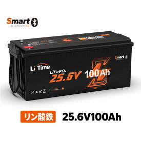 【新製品★Bluetoot機能】LiTime 24V 100Ah トローリングモーター用リン酸鉄リチウムイオンバッテリー Bluetoot機能&低温保護付き 2560Whエネルギー ソーラーハウス キャンプ RV マリンバッテリー オフグリッド エレキ
