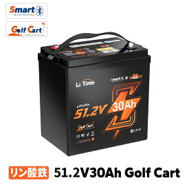 【再入荷！】【ゴルフカート用】LiTime 51.2V 30Ah ゴルフカート用リン酸鉄リチウムイオンバッテリー Bluetooth機能&低温切断保護機能付き 4000回以上サイクル 1536Wh 100ABMS 放電レート2.67C ゴルフカート マリンエレキ 船外機