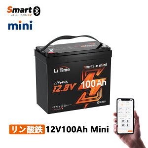 yV&Bluetooth@\zLiTime 12V100Ah mini _S`ECIobe[ Bluetooth@\ A^C\ 33^ 1280Whd͗ 100ABMS ቷی@\ 4000~15000TCN GL[^[ 