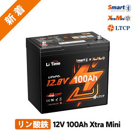 【新発売★miniサイズの新たな進化】LiTime 12V 100Ah Xtra Mini リン酸鉄リチウムイオンバッテリー Bluetooth機能 リアルタイム情報表示 リモート操作可能 1280Wh電力量 100AのBMS 4000~15000回サイクル