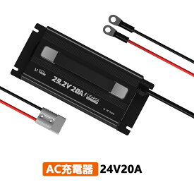 LiTime 29.2V 20A リチウムバッテリー用充電器、LEDインジケータ付き 4つの安全保護 24V LiFePO4バッテリーの専用充電器 0V充電機能対応 長い未使用バッテリーと保護された状態のバッテリーを復帰できる PSE認証取済