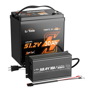 �yLFP�{��p�[�d��zLiTime 51.2V 30Ah �S���t�J�[�g�p�����_�S���`�E���C�I���o�b�e���[ Bluetooth�@�\&�ቷ�ی�@�\�t�� 4000��ȏ�T�C�N�� 1536Wh 100ABMS ���d���[�g2.67C �S���t�J�[�g �}�����G���L 