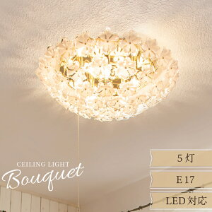 yAmpoulez V[OCg Ɩ  5 VfA rO _CjO k  t[ g _ OWA[ GKg 킢 vXCb` _ؑ Ɩ V