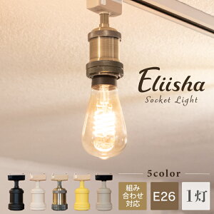 yAmpoulez V[OCg y_gCg Ɩ  \Pbg E26 d _Ng[ CeBO[ 1  gC Ki L Vv AeB[N g Ɩ Ce