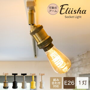 yAmpoulez V[OCg Ɩ  \Pbg E26 _Ng[ CeBO[ d 1 _CjO  gC JtF AeB[N g Ɩ CeA AeB[N